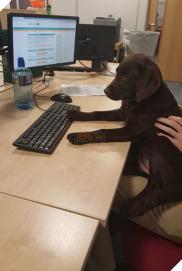 img_0118-59de6caac58f9__700