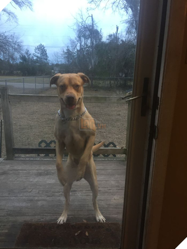 img_0933-59dee2d648457__700