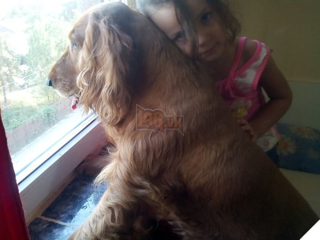 img_20160801_190046-59de3b0086d62__700