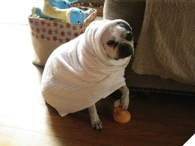 spa-day-59debecc46435__700