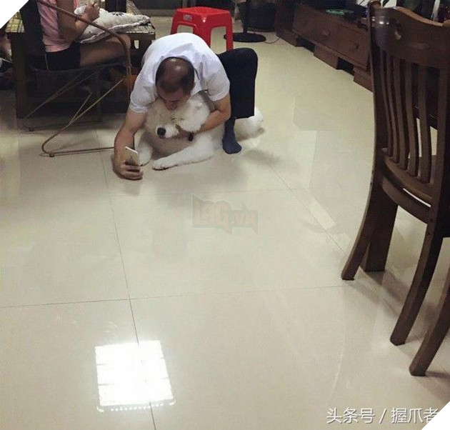 BoBo đi làm đẹp không ngờ biến thành gấu Bắc Cực, nó ủy khuất tỏ vẻ ‘chán ghét’ nhưng dân mạng lại thích thú 16