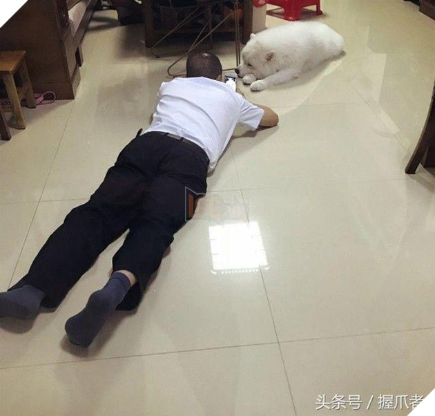 BoBo đi làm đẹp không ngờ biến thành gấu Bắc Cực, nó ủy khuất tỏ vẻ ‘chán ghét’ nhưng dân mạng lại thích thú 15