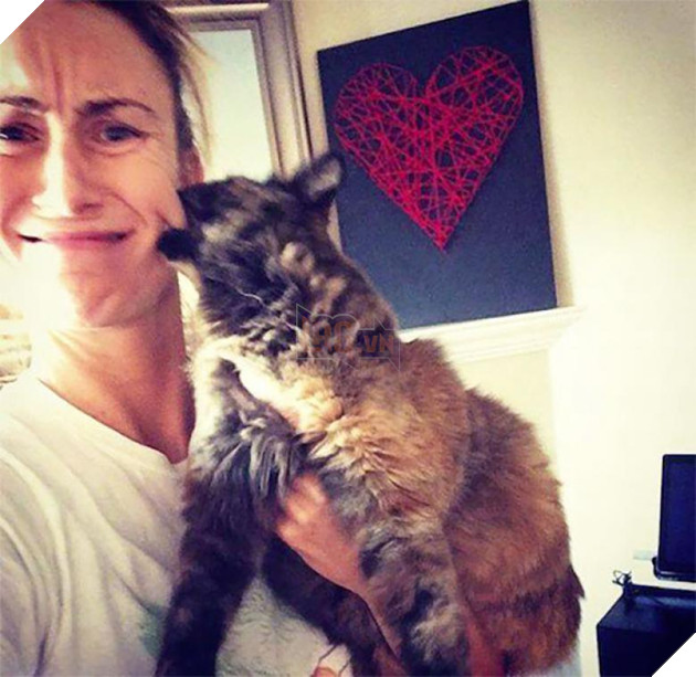 Khuôn mặt đáng thương của các con sen khi bị 16 boss hổ báo cáo chồn bắt nạt - Ảnh 1.