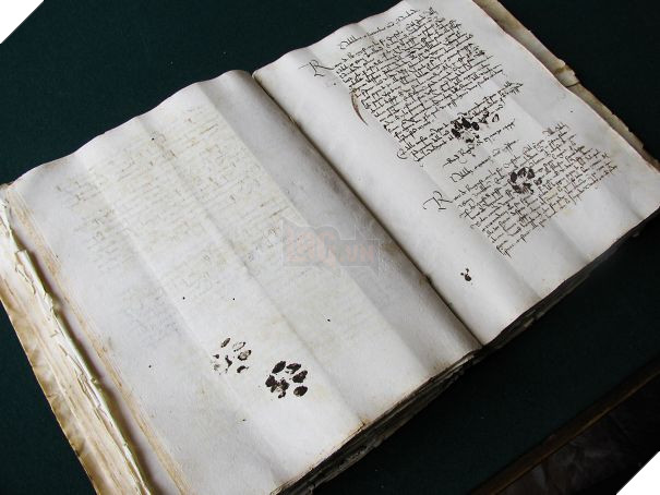 Cười đau bụng với 20+ khoảnh khắc ‘đáng đánh’ của chó mèo minh chứng cho câu nói: ‘nhất quỷ nhì ma, thứ 3… tụi nó!’ 2