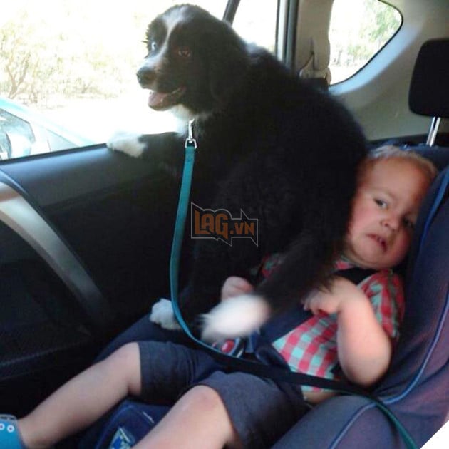 Khuôn mặt đáng thương của các con sen khi bị 16 boss hổ báo cáo chồn bắt nạt - Ảnh 29.