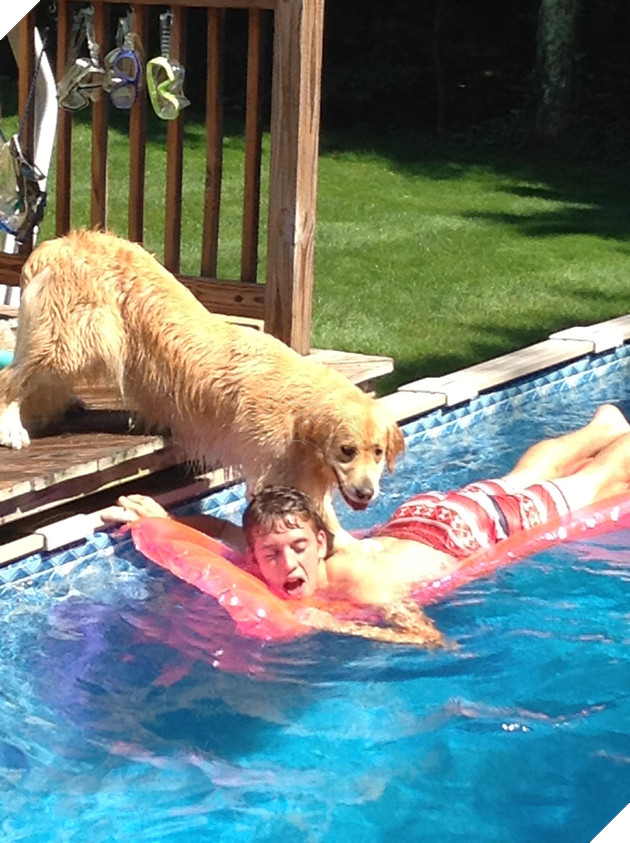 Khuôn mặt đáng thương của các con sen khi bị 16 boss hổ báo cáo chồn bắt nạt - Ảnh 27.