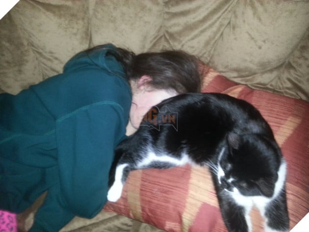 Khuôn mặt đáng thương của các con sen khi bị 16 boss hổ báo cáo chồn bắt nạt - Ảnh 31.