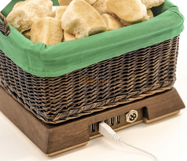 9 thiết bị kỳ lạ chỉ dành cho người giàu đốt tiền - Ảnh 6.