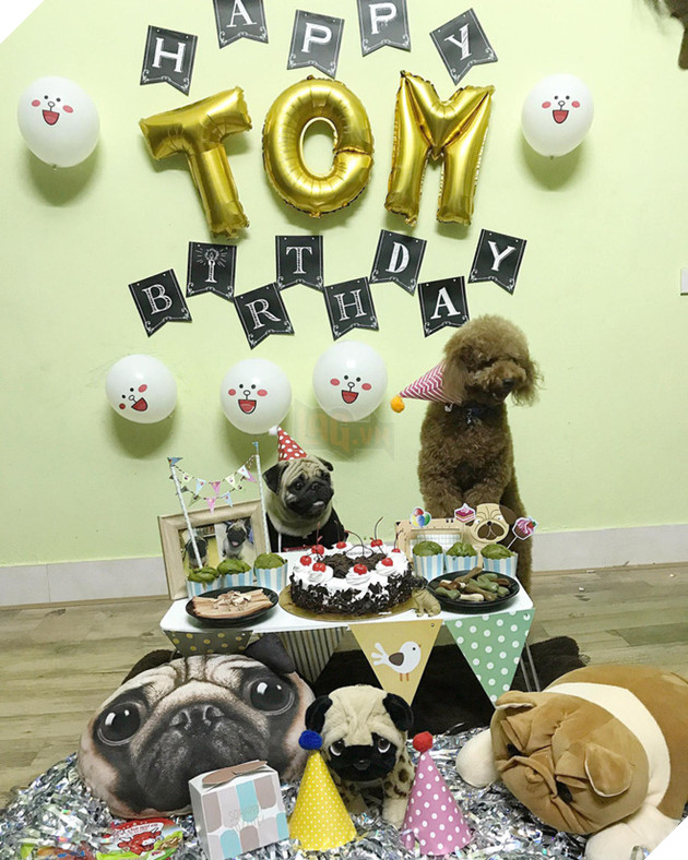 Em c&#250;n t&#234;n Tom 2 tuổi v&#224; tiệc mừng sinh nhật cực ho&#224;nh tr&#225;ng, c&#242;n mời cả bạn b&#232; tới chơi - Ảnh 2.