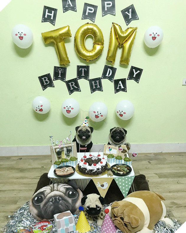 Em c&#250;n t&#234;n Tom 2 tuổi v&#224; tiệc mừng sinh nhật cực ho&#224;nh tr&#225;ng, c&#242;n mời cả bạn b&#232; tới chơi - Ảnh 3.