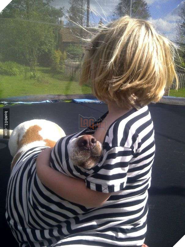 Cười đau bụng với 20+ bằng chứng cho thấy đừng bao giờ giao thú cưng cho trẻ, dù chỉ một lần! 19