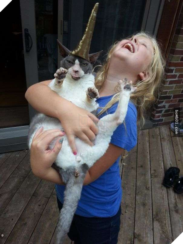 Cười đau bụng với 20+ bằng chứng cho thấy đừng bao giờ giao thú cưng cho trẻ, dù chỉ một lần! 3