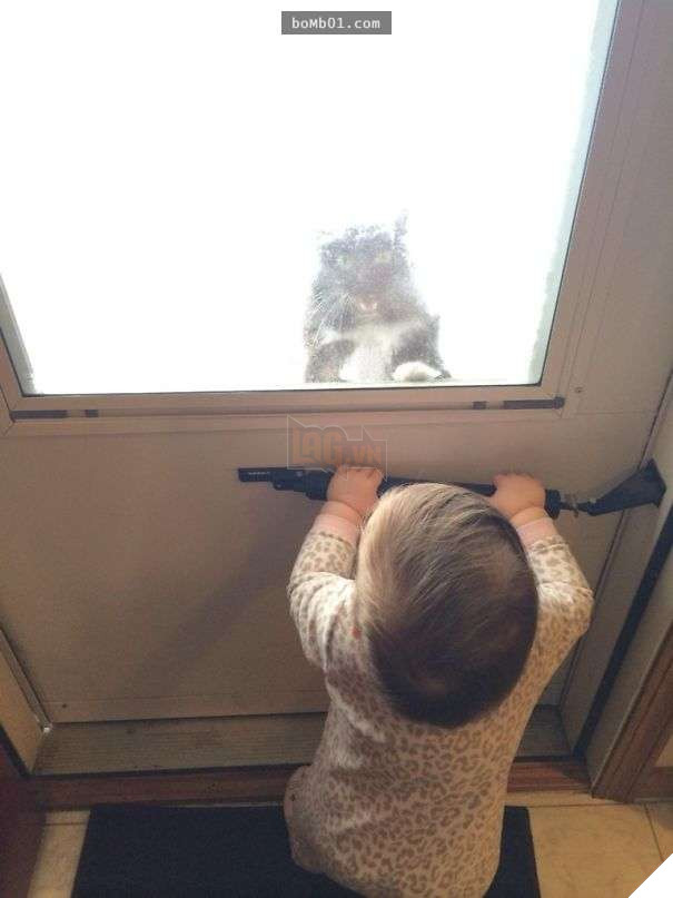 Cười đau bụng với 20+ bằng chứng cho thấy đừng bao giờ giao thú cưng cho trẻ, dù chỉ một lần! 2