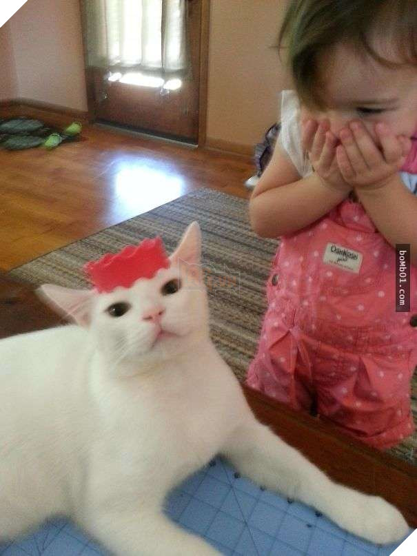 Cười đau bụng với 20+ bằng chứng cho thấy đừng bao giờ giao thú cưng cho trẻ, dù chỉ một lần! 12