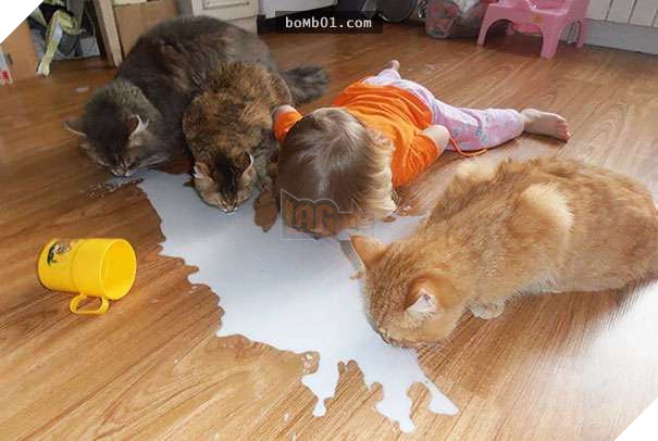 Cười đau bụng với 20+ bằng chứng cho thấy đừng bao giờ giao thú cưng cho trẻ, dù chỉ một lần! 20