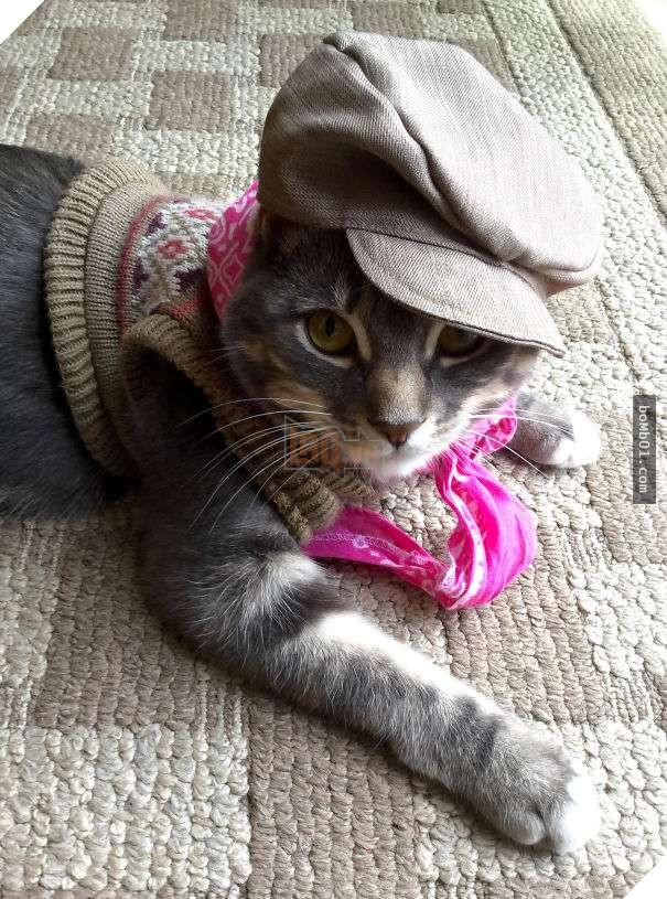 Cười đau bụng với 20+ bằng chứng cho thấy đừng bao giờ giao thú cưng cho trẻ, dù chỉ một lần! 11