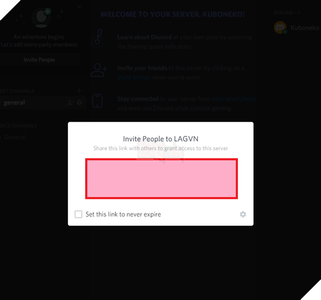 Hướng dẫn cách sử dụng Discord để giao tiếp trong BNS, PUBG hoặc các tựa game cần tính chiến thuật cao 11