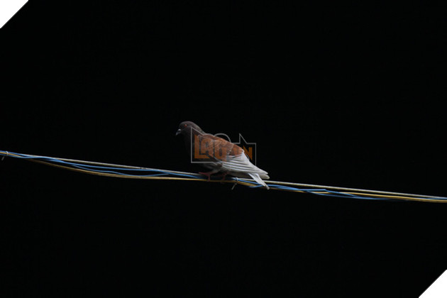 Cùng thưởng thức loạt ảnh đoạt giải trong cuộc thi Canon PhotoMarathon khu vực TP.HCM 3