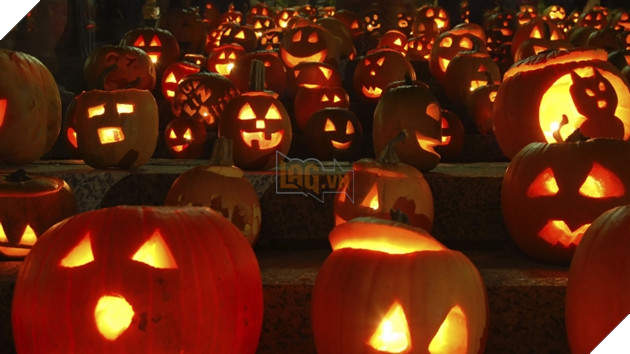  Bạn thắc mắc - LAG trả lời Tại sao lại dùng bí ngô trang trí đêm Halloween?