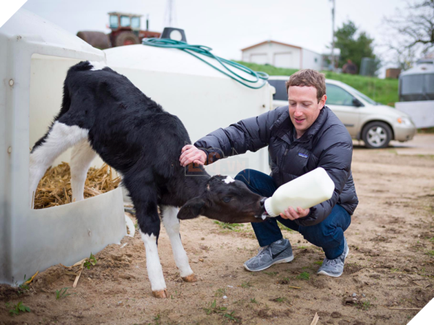 Khối tài sản kếch xù của ông chủ Facebook Mark Zuckerberg trị giá bao nhiêu? - Ảnh 5. Khối tài sản kếch xù của ông chủ Facebook Mark Zuckerberg trị giá bao nhiêu? - Ảnh 5.