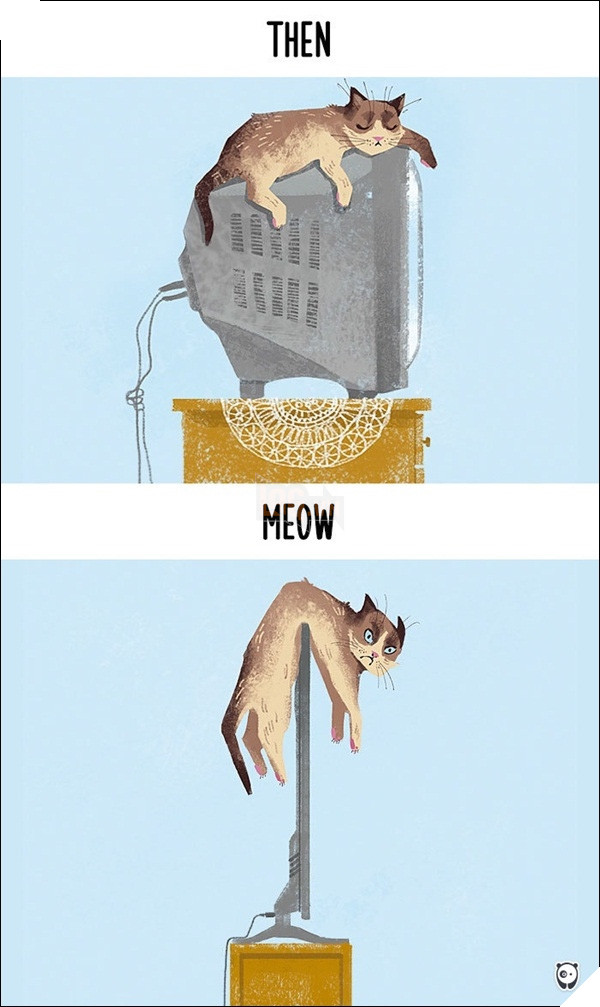 
Ai cần tivi ngày càng mỏng chứ, mình muốn tìm chỗ ngủ ấm áp chứ đâu phải để "phơi xác".