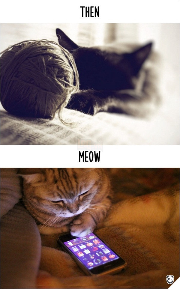 
Có smartphone rồi mình muốn chơi "cuộn" gì mà chả được, không cần cuộn len nữa.