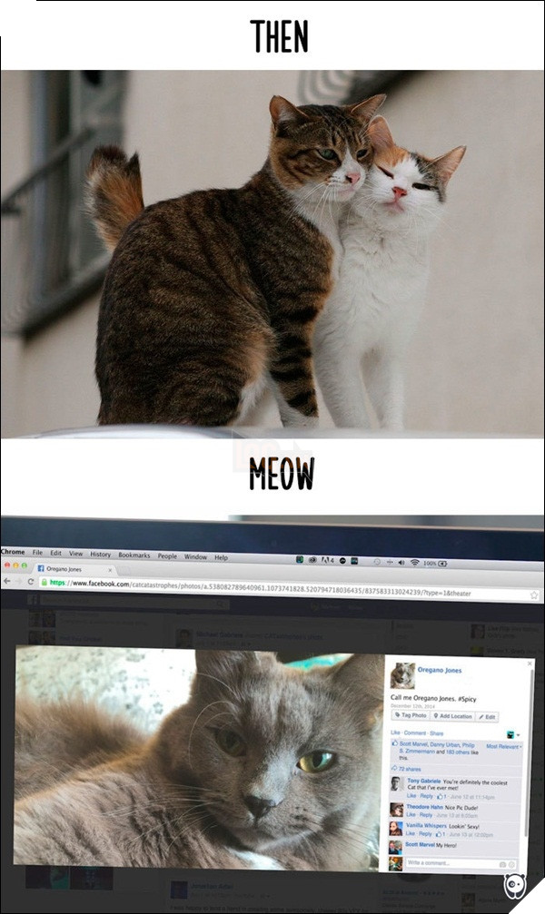 
Giờ thích nàng nào chẳng cần tốn công đeo bám, trên mạng có sẵn hàng trăm "bóng hồng" cho mình lựa chọn cơ mà.