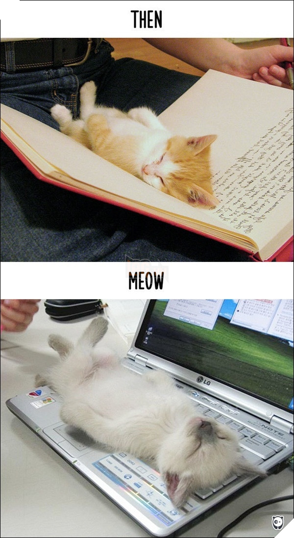 
Bây giờ giường ngủ có hơi cộm tí nhưng mà được cái rộng và ấm.