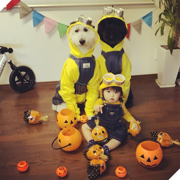 Loạt ảnh hóa trang Halloween hoành tráng nhất mạng xã hội của bé gái Nhật và những người bạn thú cưng - Ảnh 1.