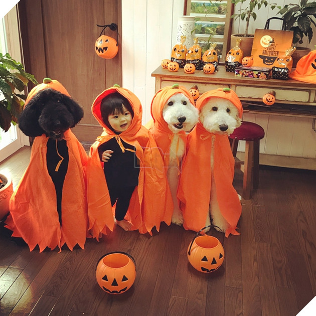 Loạt ảnh hóa trang Halloween hoành tráng nhất mạng xã hội của bé gái Nhật và những người bạn thú cưng - Ảnh 2.
