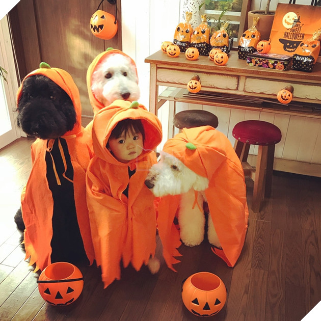 Loạt ảnh hóa trang Halloween hoành tráng nhất mạng xã hội của bé gái Nhật và những người bạn thú cưng - Ảnh 11.