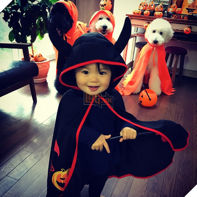 Loạt ảnh hóa trang Halloween hoành tráng nhất mạng xã hội của bé gái Nhật và những người bạn thú cưng - Ảnh 12.