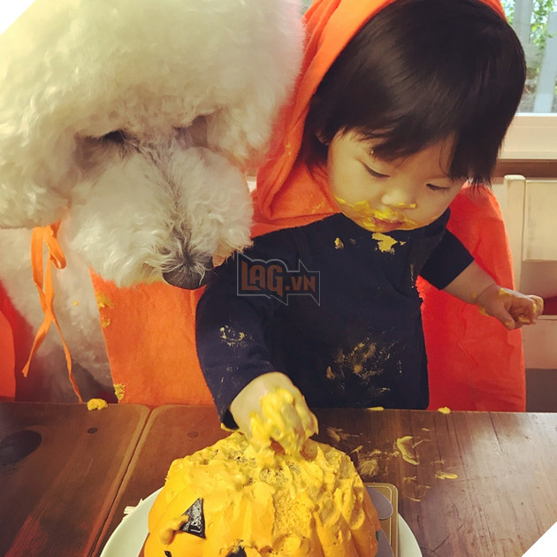 Loạt ảnh hóa trang Halloween hoành tráng nhất mạng xã hội của bé gái Nhật và những người bạn thú cưng - Ảnh 17.