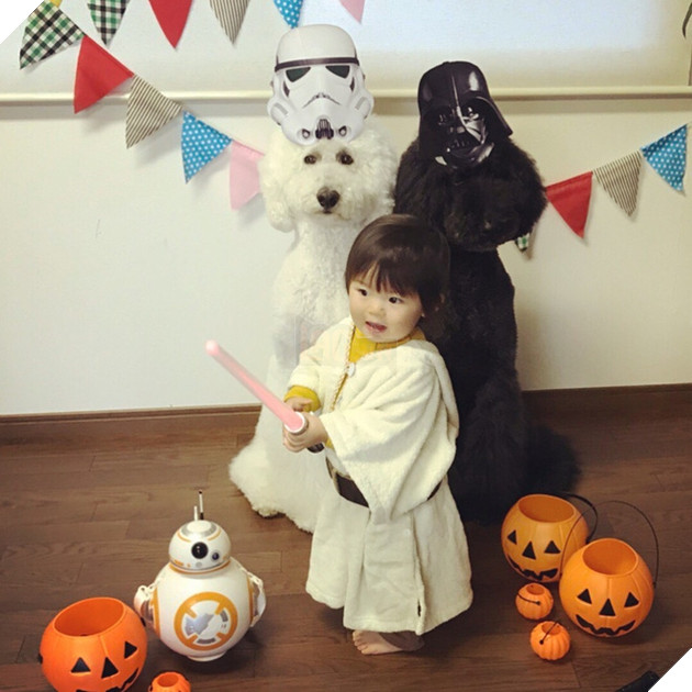 Loạt ảnh hóa trang Halloween hoành tráng nhất mạng xã hội của bé gái Nhật và những người bạn thú cưng - Ảnh 20.
