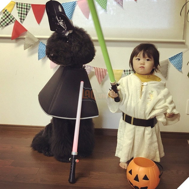 Loạt ảnh hóa trang Halloween hoành tráng nhất mạng xã hội của bé gái Nhật và những người bạn thú cưng - Ảnh 21.