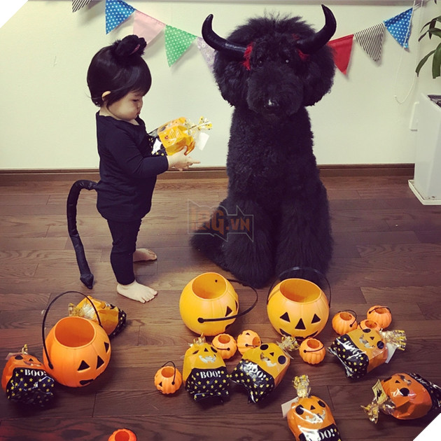 Loạt ảnh hóa trang Halloween hoành tráng nhất mạng xã hội của bé gái Nhật và những người bạn thú cưng - Ảnh 22.