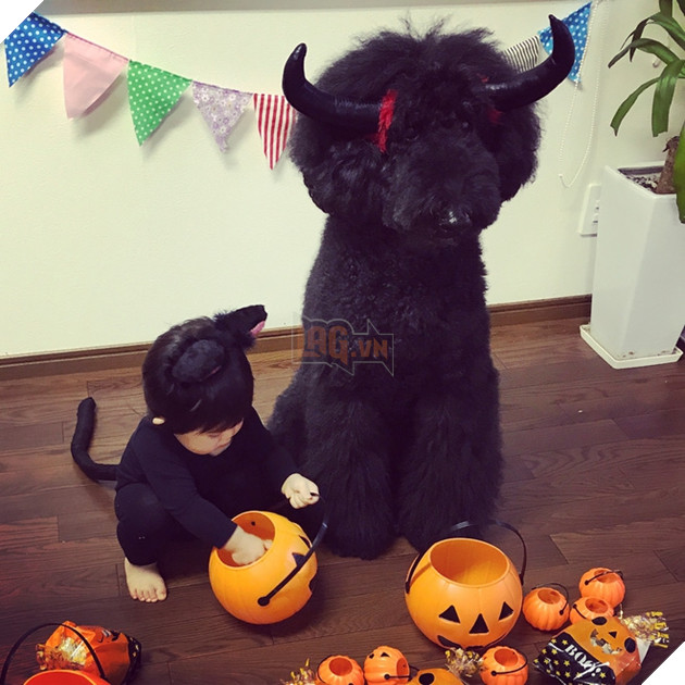 Loạt ảnh hóa trang Halloween hoành tráng nhất mạng xã hội của bé gái Nhật và những người bạn thú cưng - Ảnh 23.