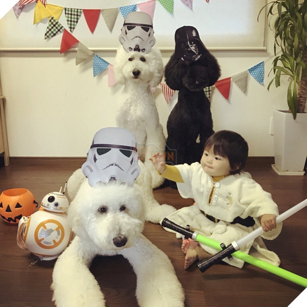 Loạt ảnh hóa trang Halloween hoành tráng nhất mạng xã hội của bé gái Nhật và những người bạn thú cưng - Ảnh 4.