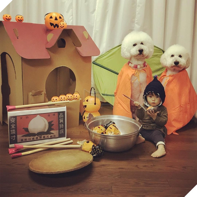 Loạt ảnh hóa trang Halloween hoành tráng nhất mạng xã hội của bé gái Nhật và những người bạn thú cưng - Ảnh 5.