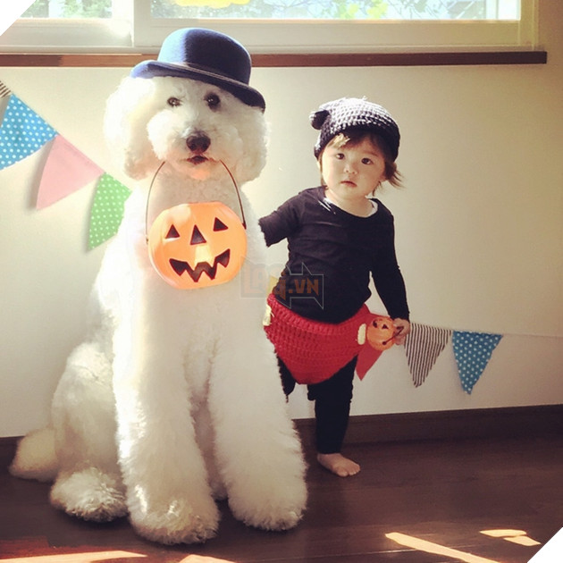 Loạt ảnh hóa trang Halloween hoành tráng nhất mạng xã hội của bé gái Nhật và những người bạn thú cưng - Ảnh 6.