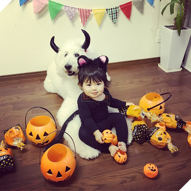 Loạt ảnh hóa trang Halloween hoành tráng nhất mạng xã hội của bé gái Nhật và những người bạn thú cưng - Ảnh 7.
