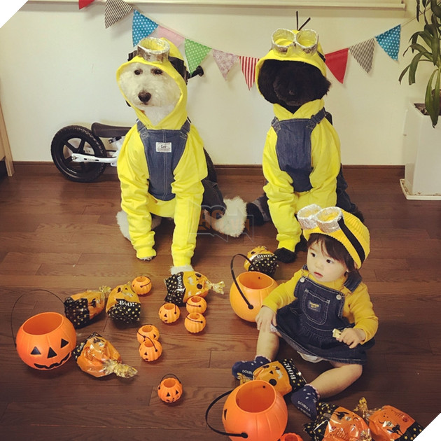 Loạt ảnh hóa trang Halloween hoành tráng nhất mạng xã hội của bé gái Nhật và những người bạn thú cưng - Ảnh 9.