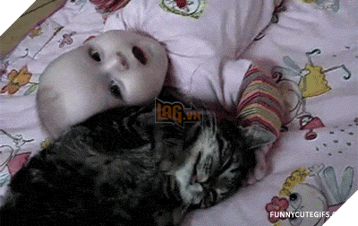 15 điều chứng tỏ lũ quái thai mèo nhiều lúc cũng tình cảm ra phết - Ảnh 3.