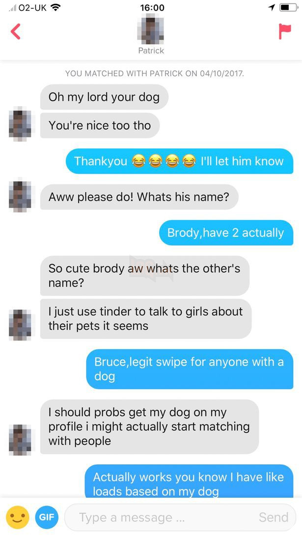 Đăng ảnh chó cưng lên profile Tinder, cô gái trẻ hối hận vì quyết định sai lầm của mình - Ảnh 2.