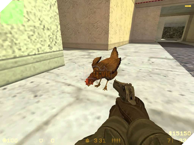 Lại nói về chú gà "ngoài chợ" trong Counter-Strike: Vì sao cứ xuất hiện là bị giết không thương tiếc?