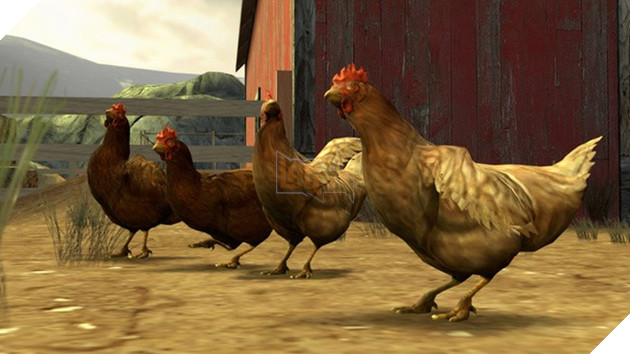 Lại nói về chú gà "ngoài chợ" trong Counter-Strike: Vì sao cứ xuất hiện là bị giết không thương tiếc?