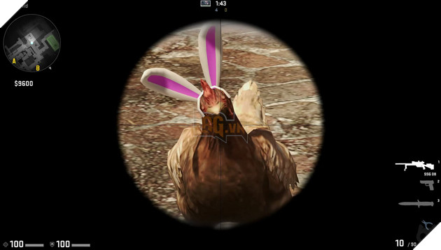 Lại nói về chú gà "ngoài chợ" trong Counter-Strike: Vì sao cứ xuất hiện là bị giết không thương tiếc?