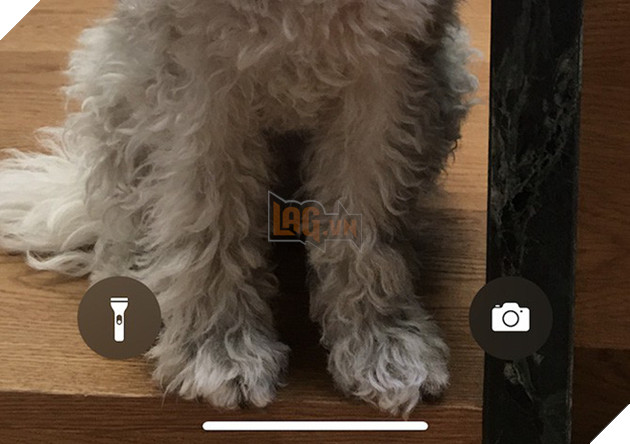 Tạp chí Forbes chia sẻ 9 điều chưa ai biết về iPhone X  4