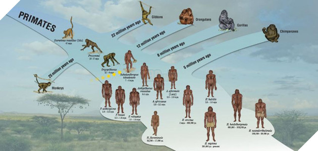 10 bí ẩn khoa học đang thách đố con người 4