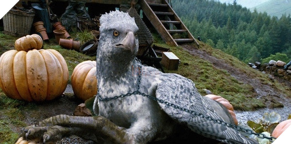 Harry Potter: Wizards Unite có cả những sinh vật huyền bí, liệu có gặp lại Bucky không nhỉ?